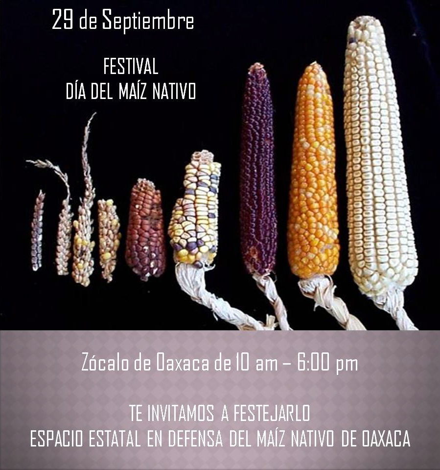 festival del maiz nativo