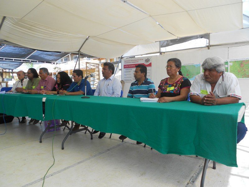 foro campo 1