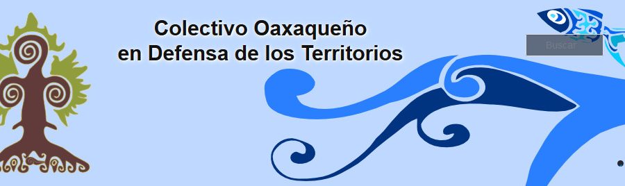 colectivo.oax