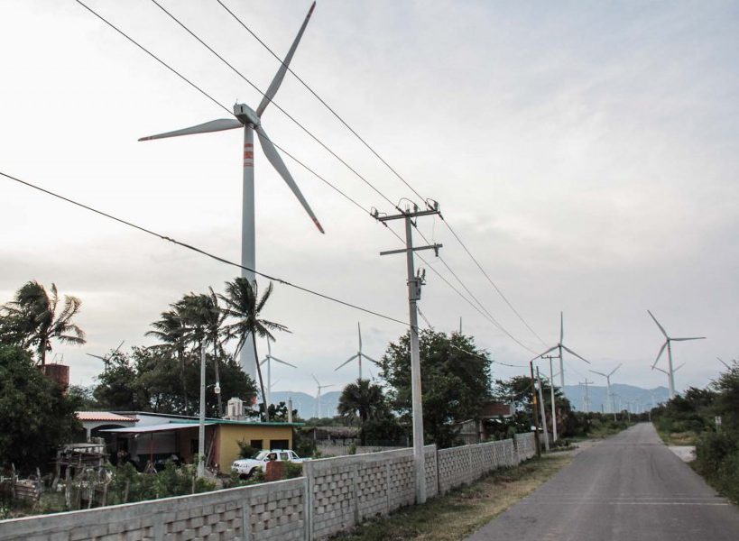 wind farm1