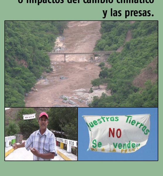 desastres naturales dvd titulo