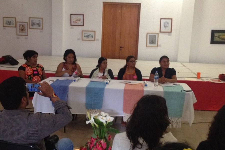 Red de personas Defensoras Ñuu Savi