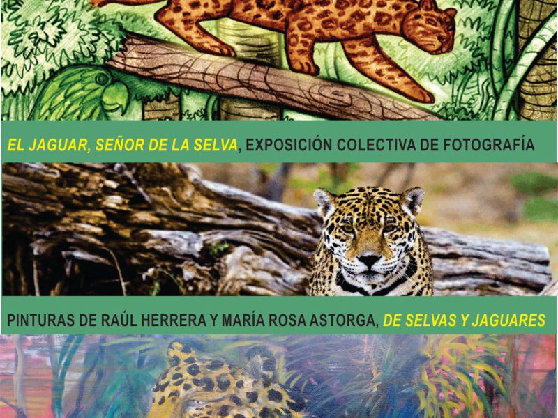 cartel jaguar 2