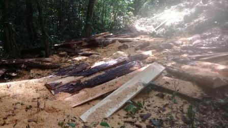 chimas