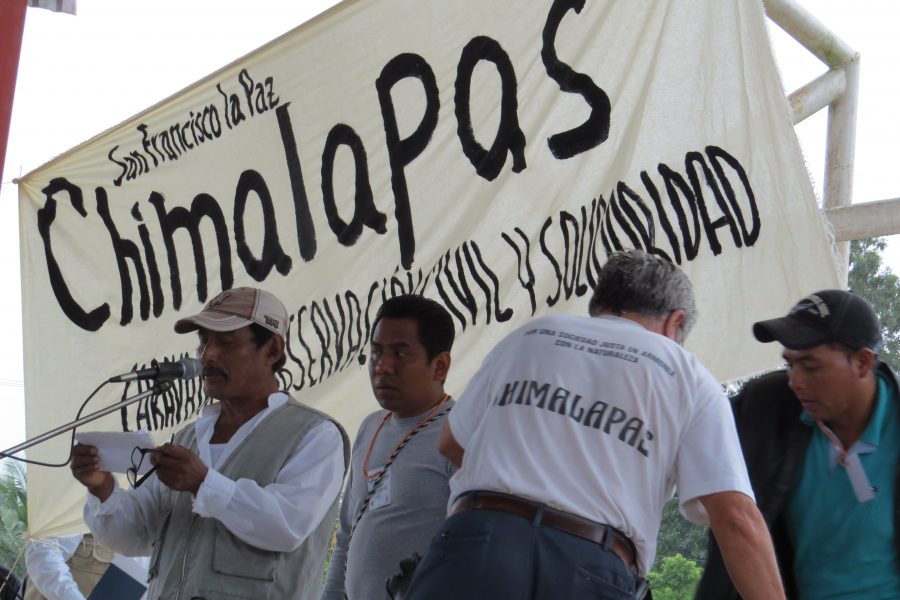 chimas5