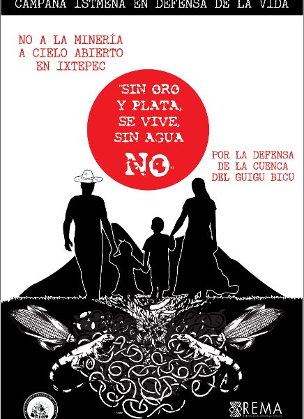 cartel1 web-2