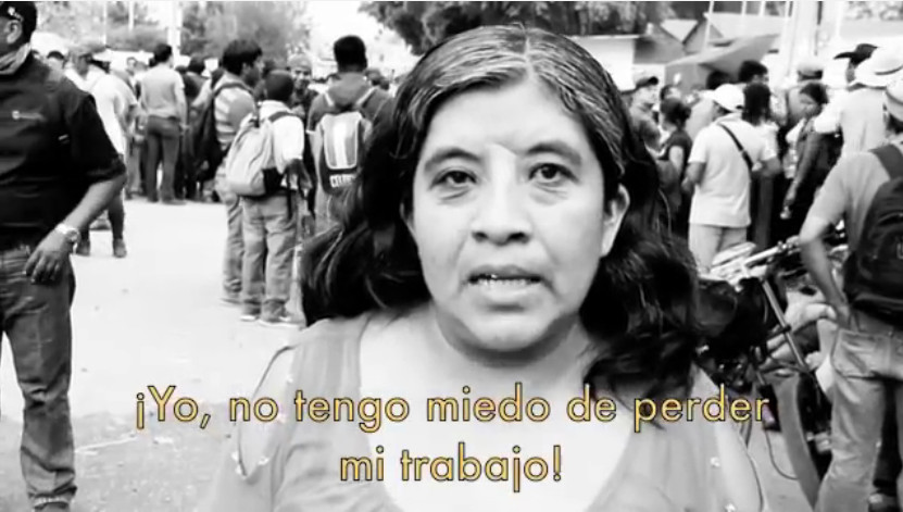 video maestros bilingues