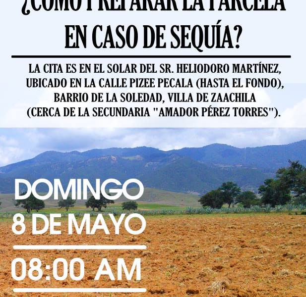 zaachila.png