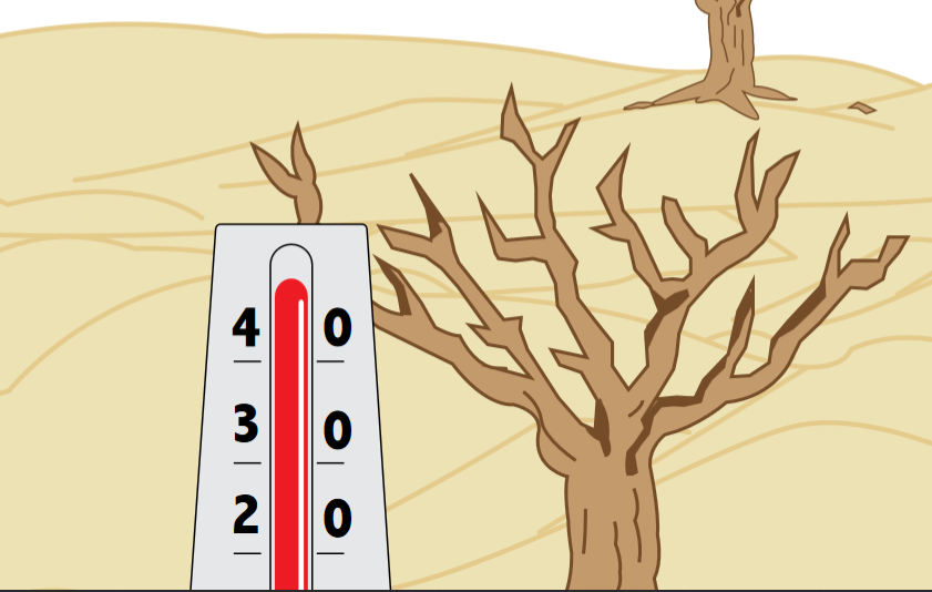 cambio climatico oax