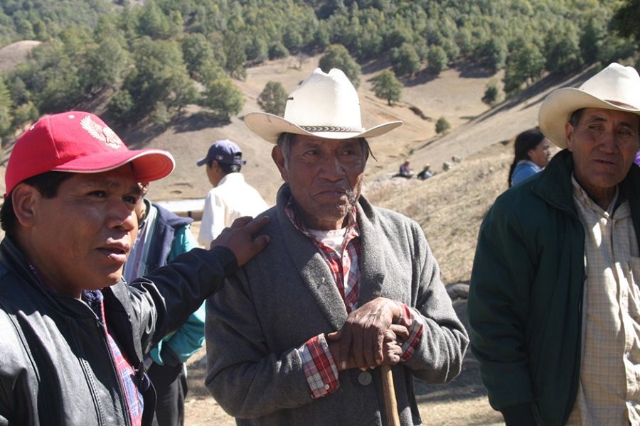 isidro baldenegro