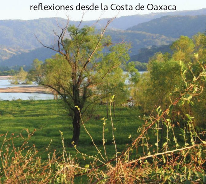 DESASTRES NATURALES web