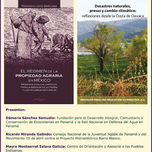 presentacion de libros flia