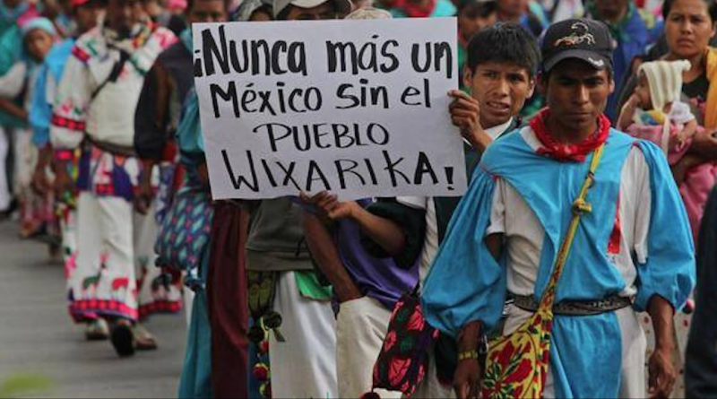 huichoes-destacada-800x445