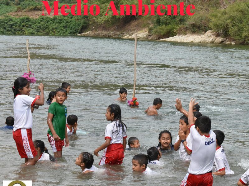Dia Medio Ambiente