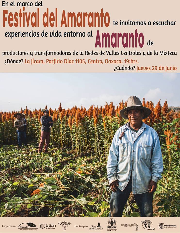 experiencia amaranto