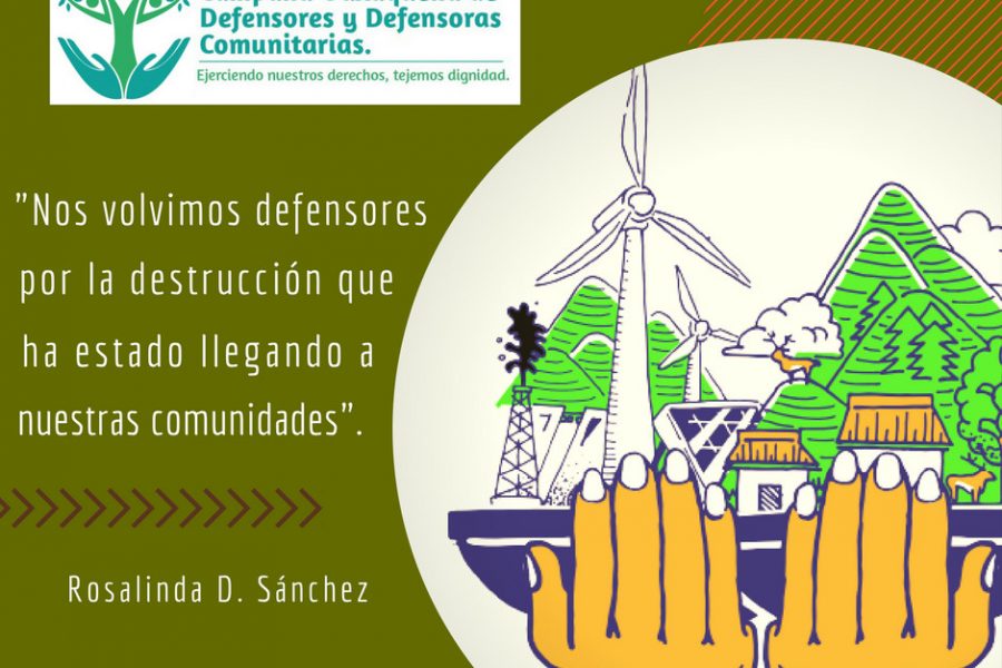 Somos defensores por la destruccion