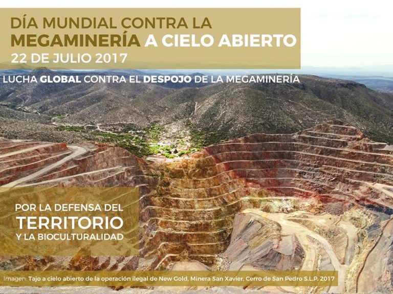 dia contra mega mineria