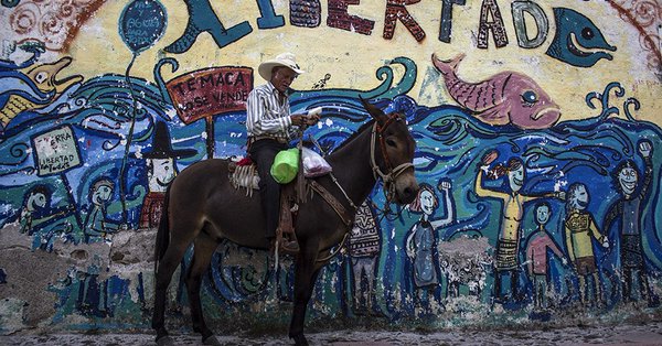 temaca no se vende