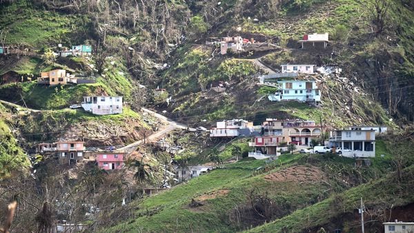 Puerto-Rico-cultivos-y-alimentos-2