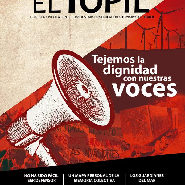 topil 31 B