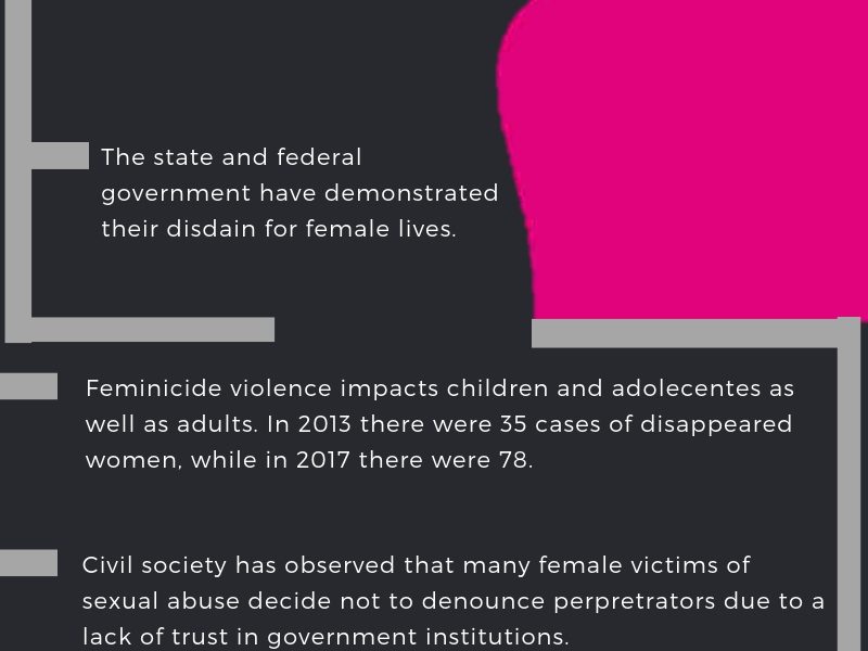 CAPÍTULO VIII VIOLENCIA FEMINICIDA