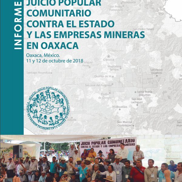 informe mineria juicio