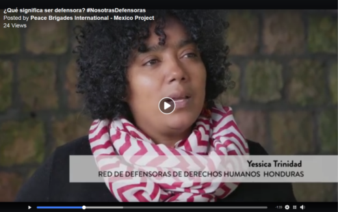 NosotrasDefensorasPBI