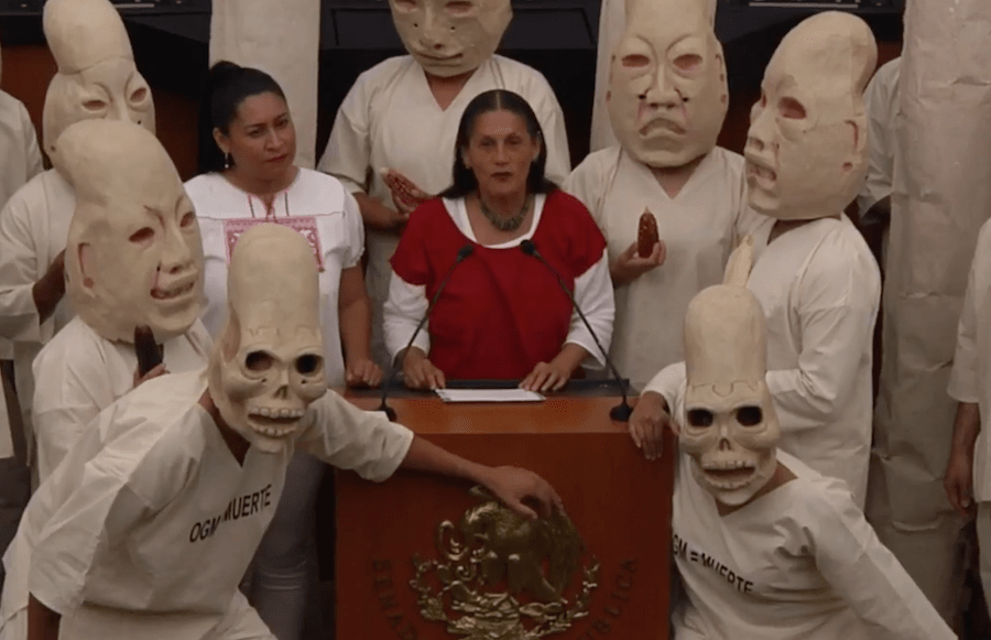 jesusa rodriguez video maiz ley anuncio raro