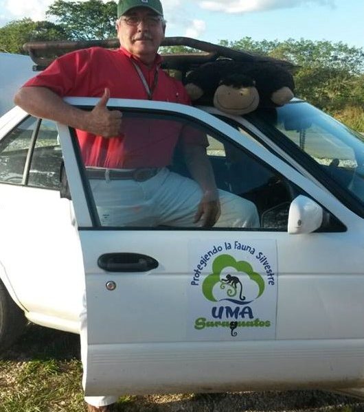 tio guatoas