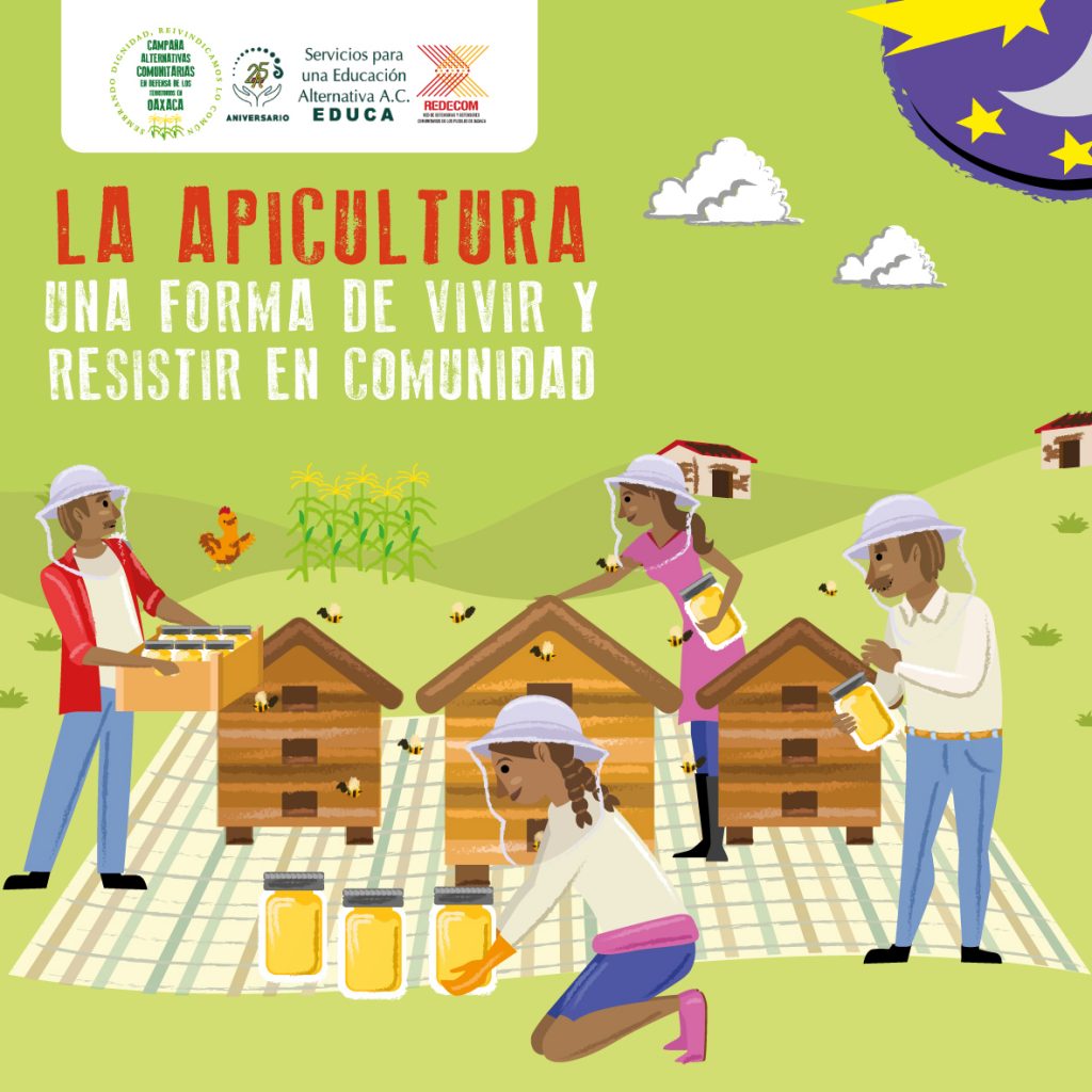 La apicultura una forma de vivir y resistir en comunidad - EDUCA