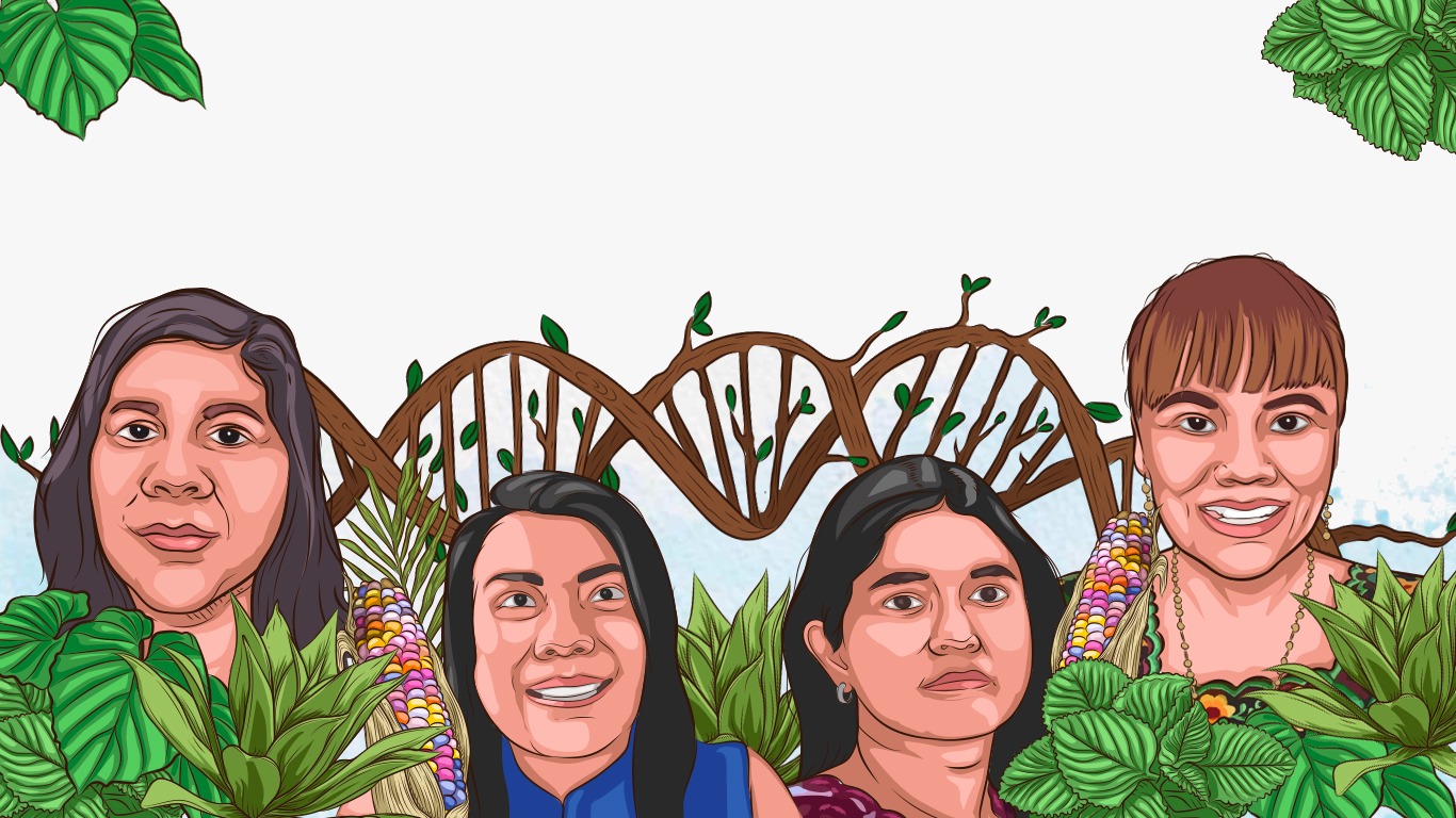 Indigenous Women: Flag Heroes in Mexico