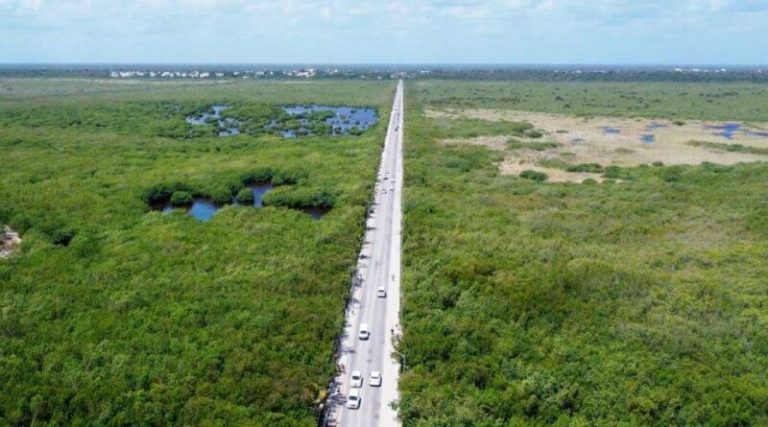 Tribunal Internacional acusa al Estado mexicano del crimen de ecocidio ...