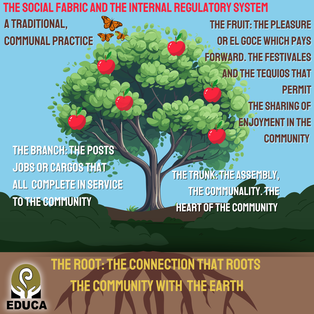 3 Social Fabric